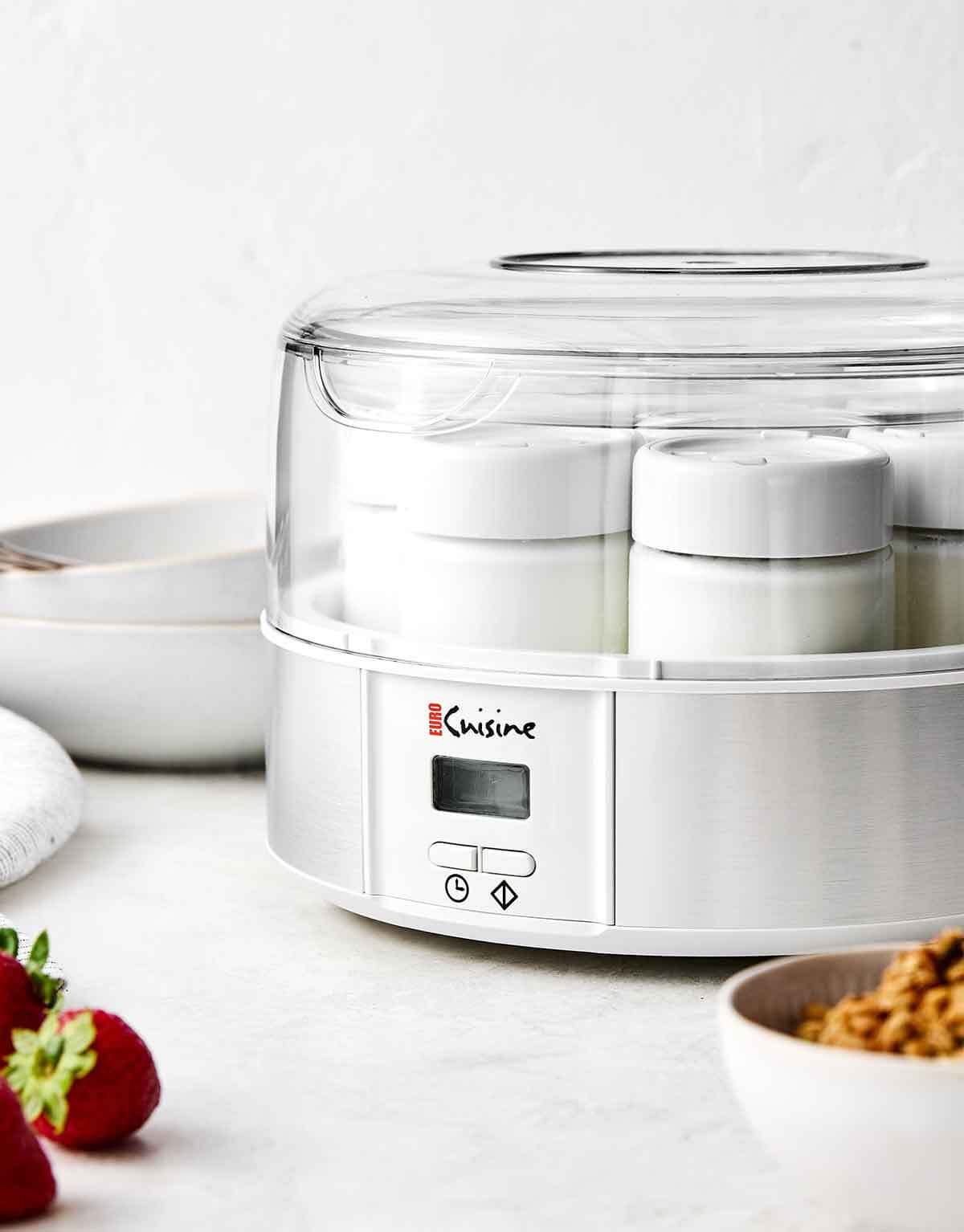 Step five of homemade yogurt: Chill and set.