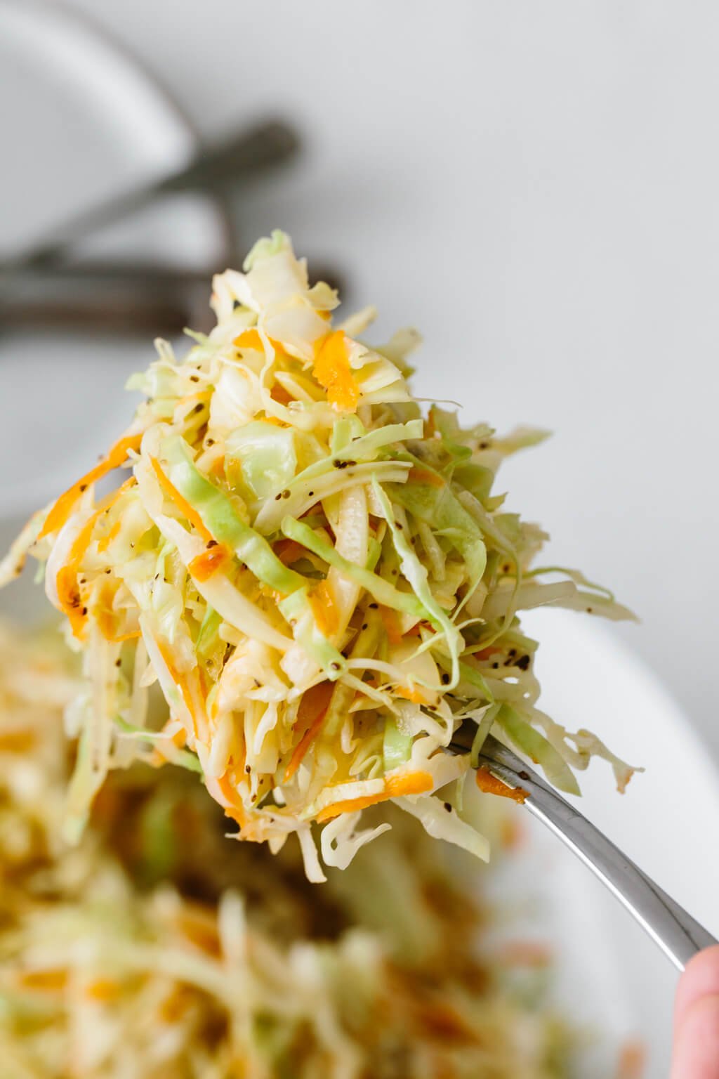 Vinegar coleslaw piled on a spoon.