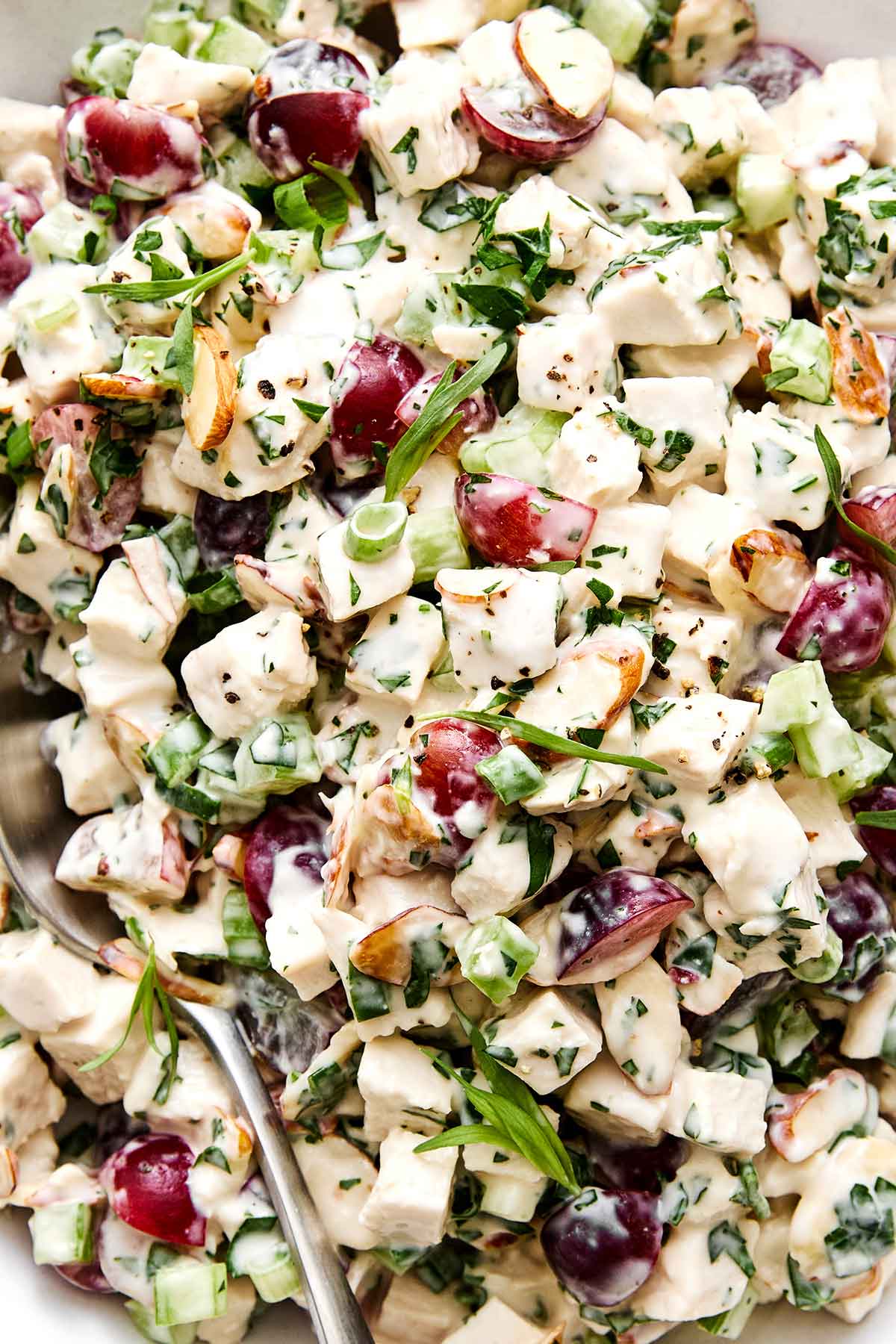 This is everyone's favorite chicken salad! It's layered with fresh flavors, delicious textures, and is sure to be a potluck winner. Chicken salad recipe.