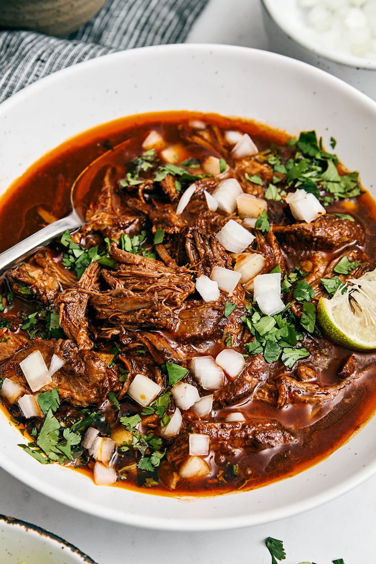 Beef birria in a bowl.