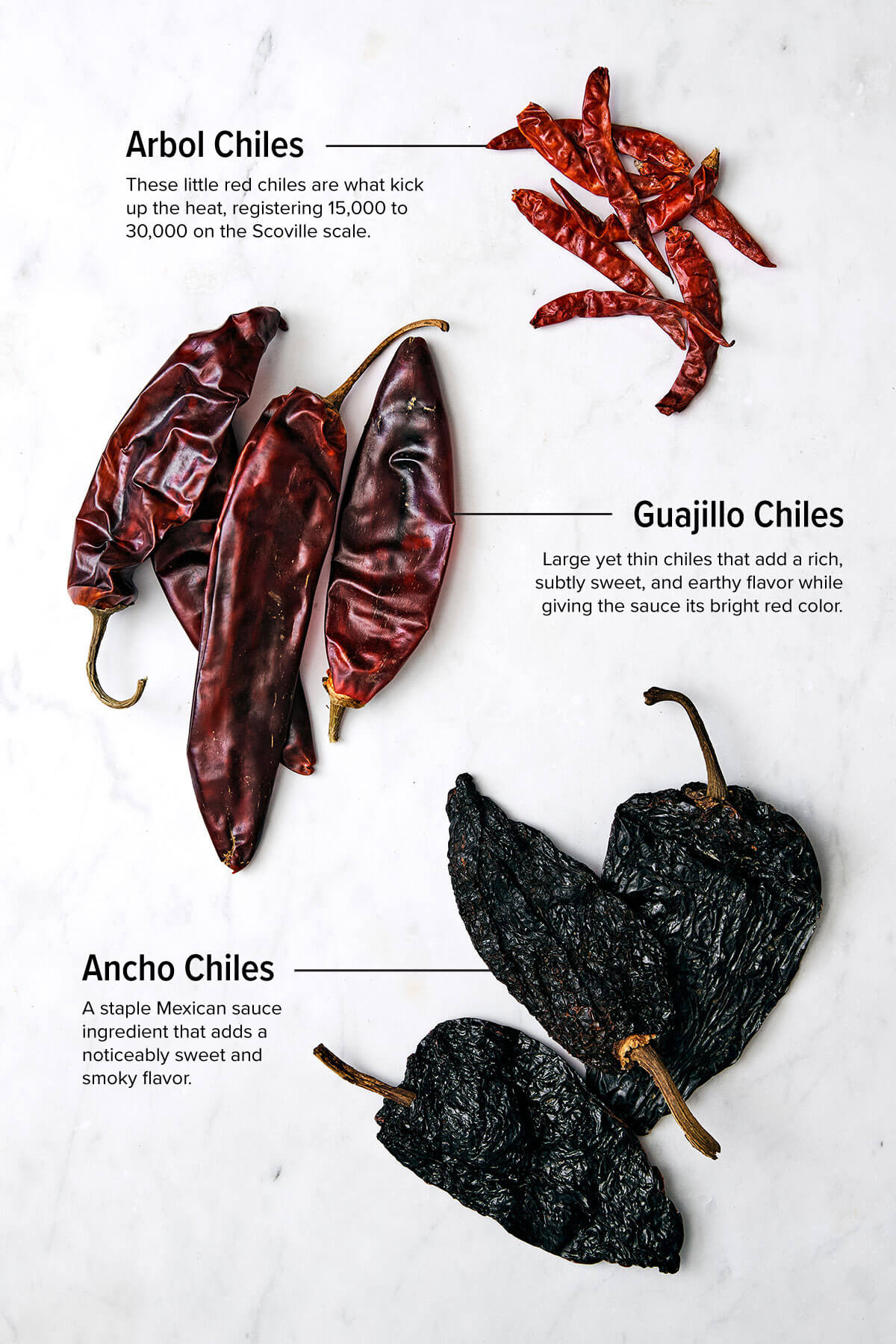 The different chiles for birria sauce.
