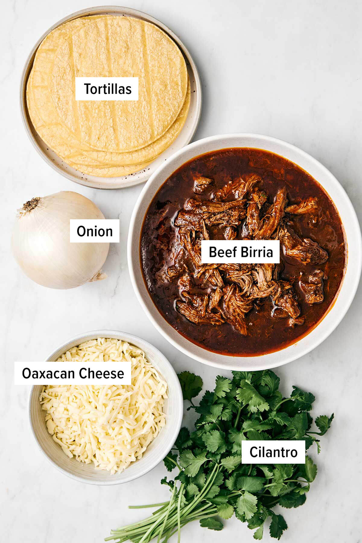 Ingredients for birria tacos.