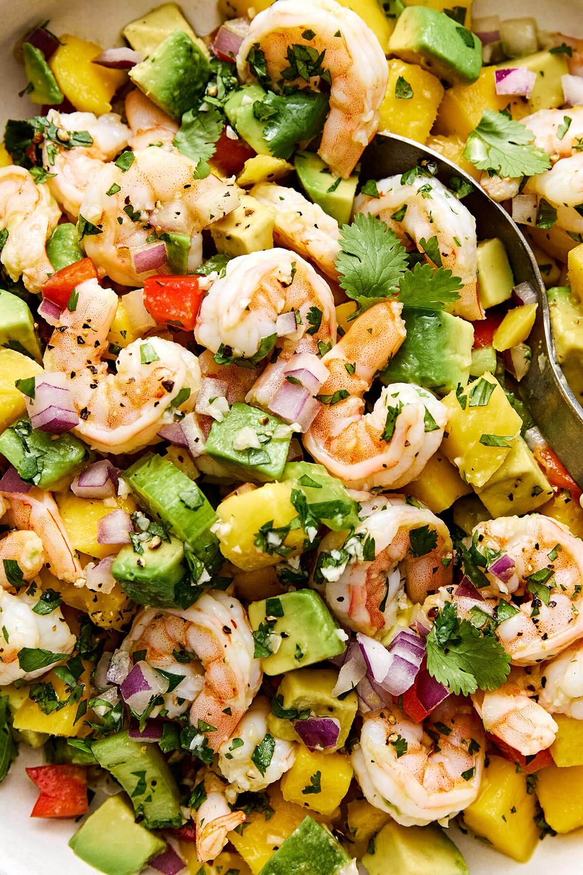 This mango avocado shrimp salad is sweet, crunchy, and tossed in a fresh honey lime dressing. It's the ultimate refreshing summer salad! Mango avocado shrimp salad recipe.