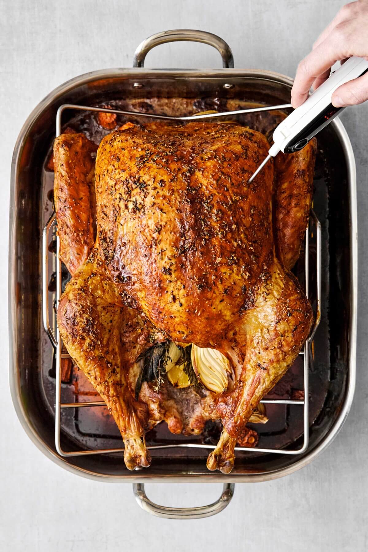 Turkey with a thermometer to take internal temperature.